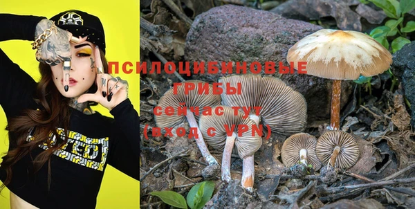 прущие крисы Михайловск